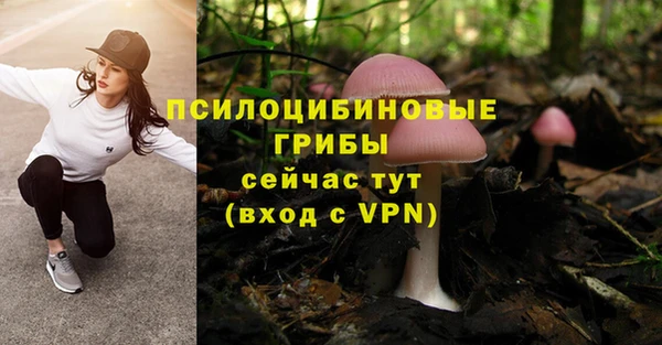 СК Михайловск