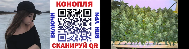 магазин    Оса  Каннабис MAZAR 